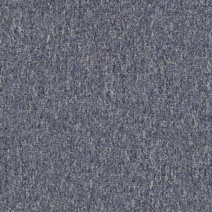 CARPET TILE, ESD, DISCOVERY ECO SERIES, 24''x24''  LIVINGSTONE, CASE OF 12
